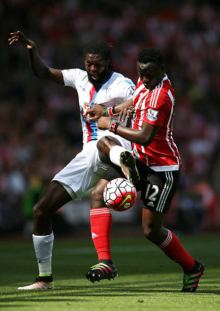 它的未来又 它的未来又