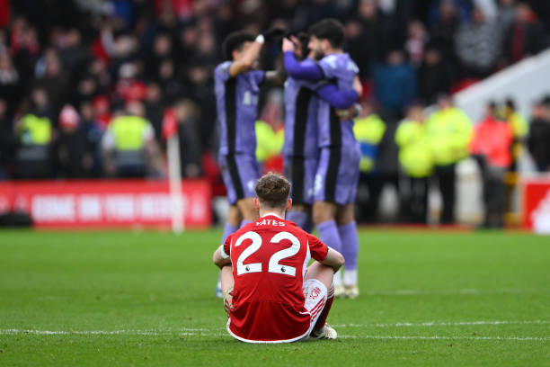 成功的案例 成功的案例